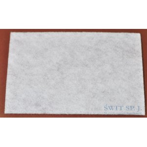 FILTR WLOTU 1010.0015 /2000/